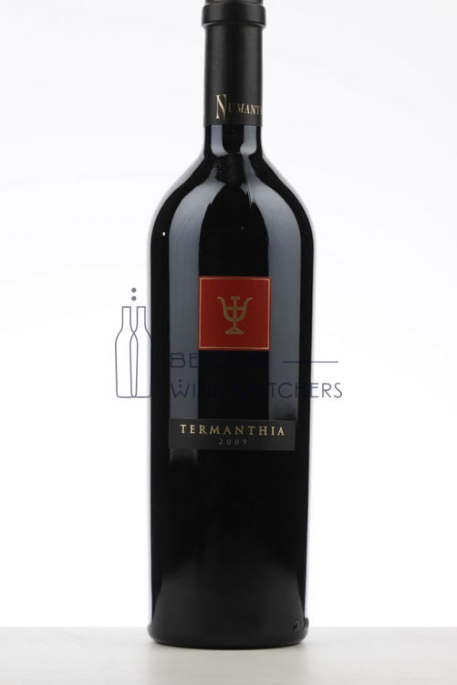 Picture of 2009 TERMANTHIA